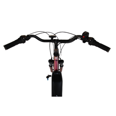 Электровелосипед Elvabike Омега 2000 Elvabike.com