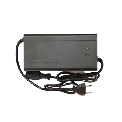 Автоматическое зарядное устройство для литий ионных АКБ на 24v10A Elvabike.com